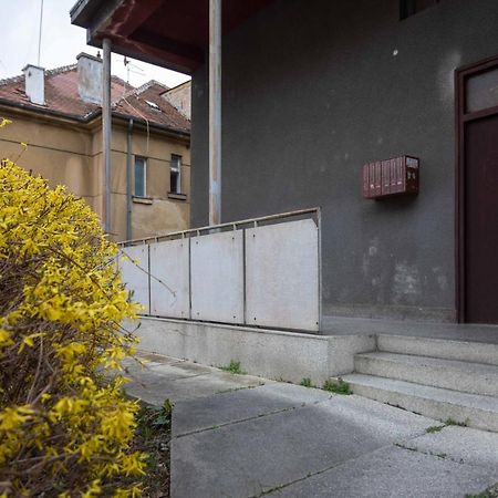 Modern Studio Near British Square Lägenhet Zagreb Exteriör bild